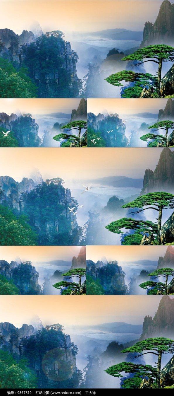 生化危机：浣熊市行动